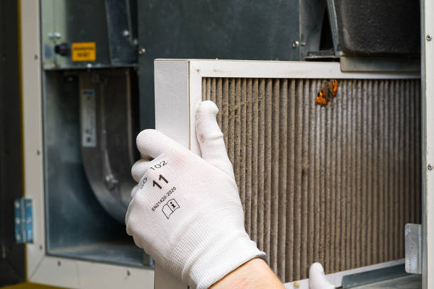 Best Air Vent Cleaning Services  in Williamsburg, PA