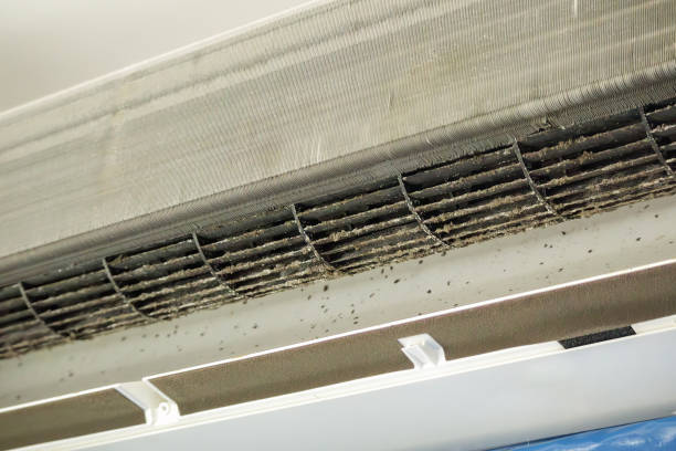 Best Local Air Duct Cleaning Services  in Williamsburg, PA