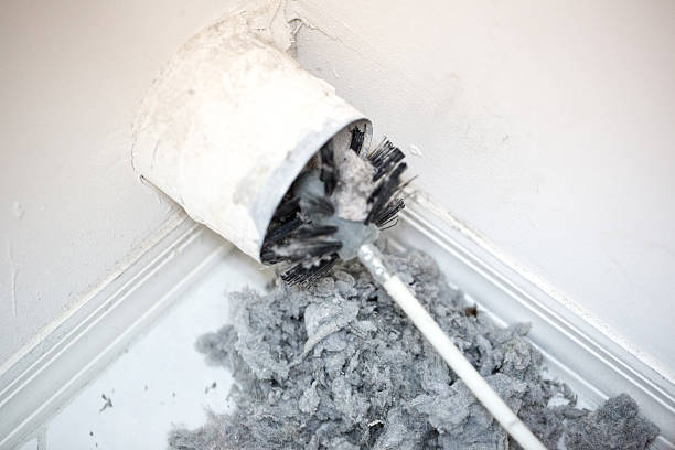 Best Dryer Vent Cleaning Services  in Williamsburg, PA